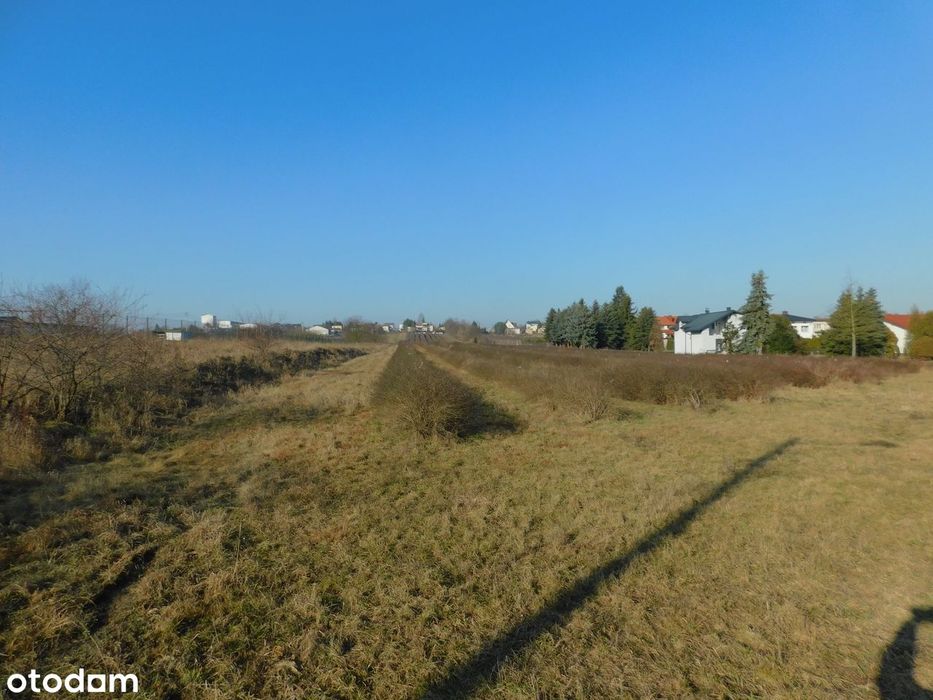 Syndyk sprzeda - Mogielnica, dz. nr 1272, 1304 oraz 1303 - Widok 3