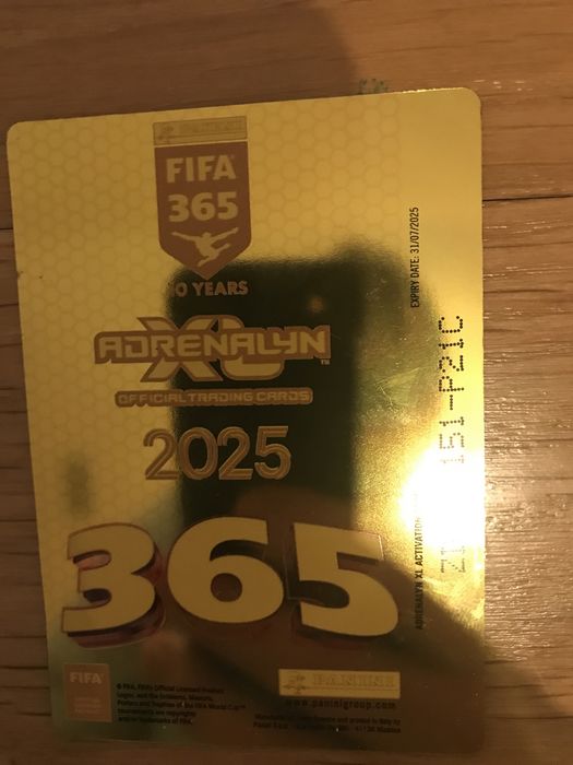 Karta panini fifa invincible