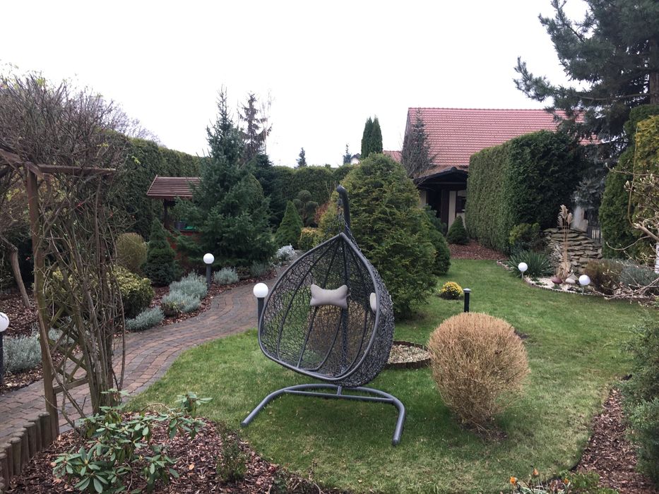 Pielęgnacja ogrodu, usługi ogrodnicze- atrakcyjne ceny!!!