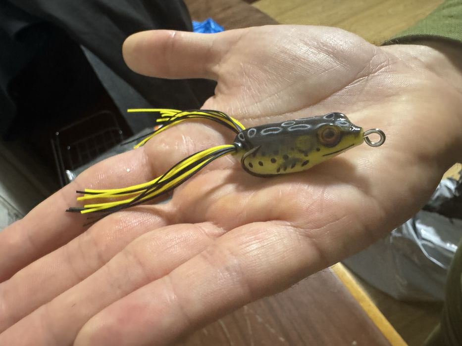 Симуляція леопардового жаби