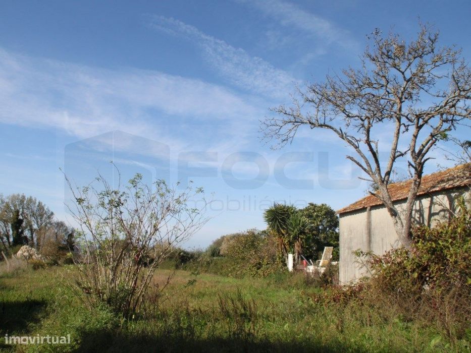 Terreno com vistas Ria - Passadiços