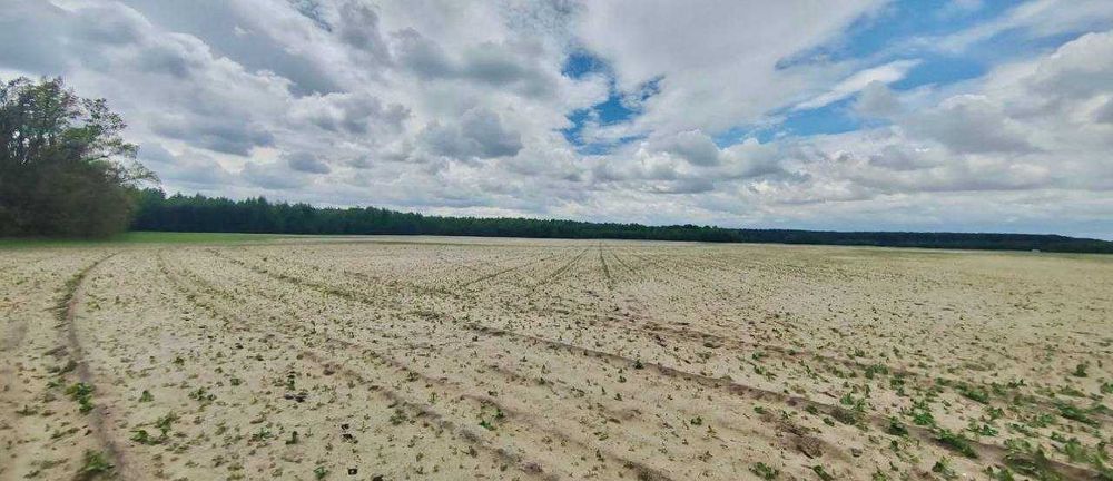 Земельна ділянка під СГ в Андріївці!