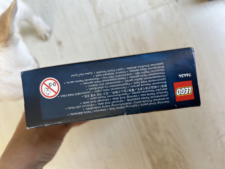 2x LEGO 76434 Harry Potter Aragog w Zakazanym Lesie