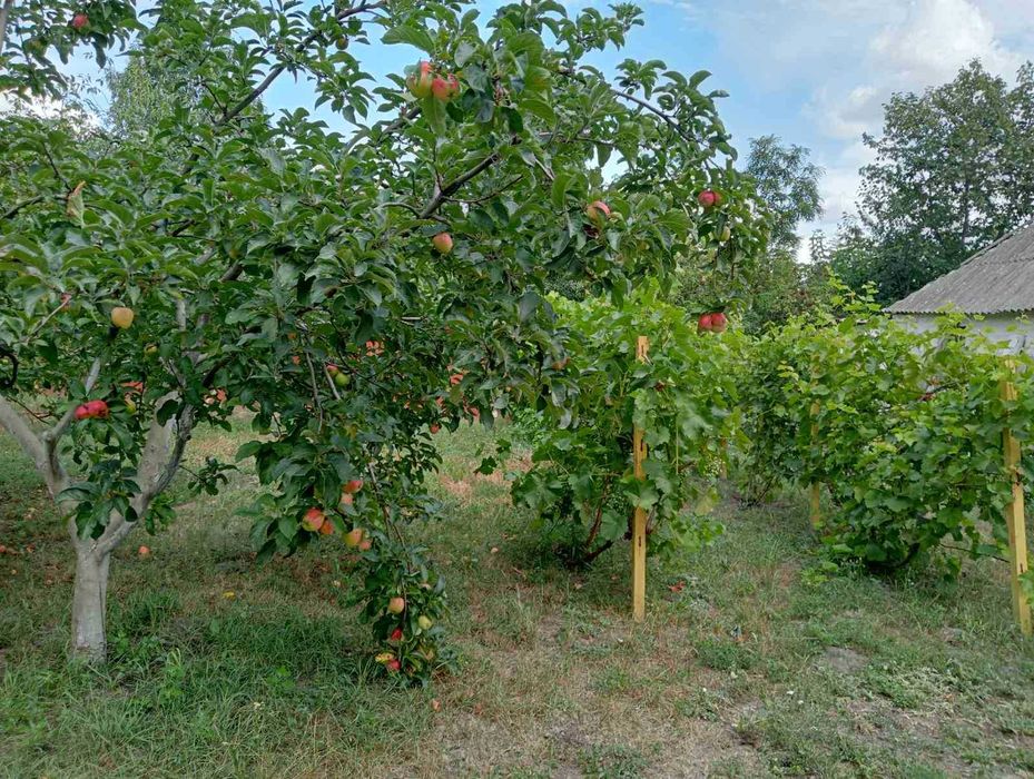 Продаж будинку в селищі Завадівка.