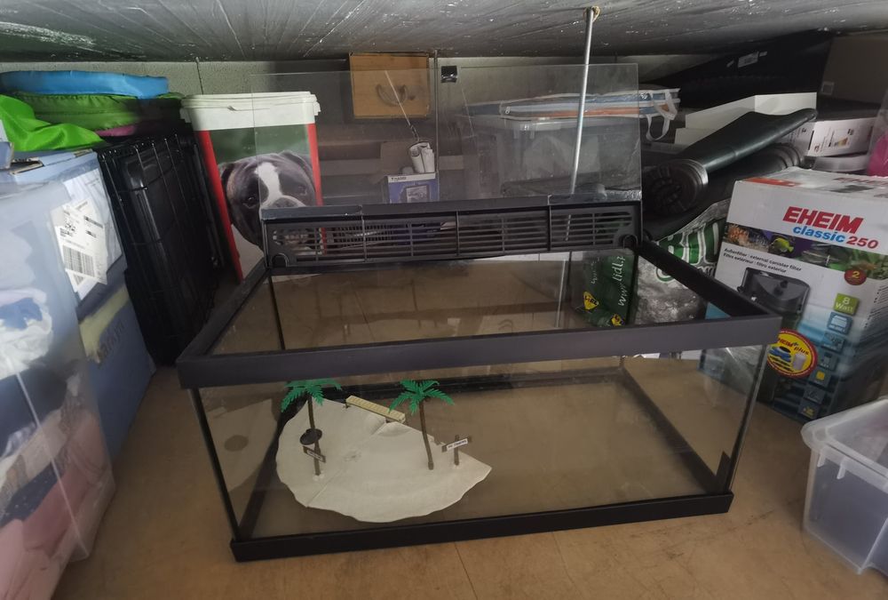 Tartarugueira tartarugas