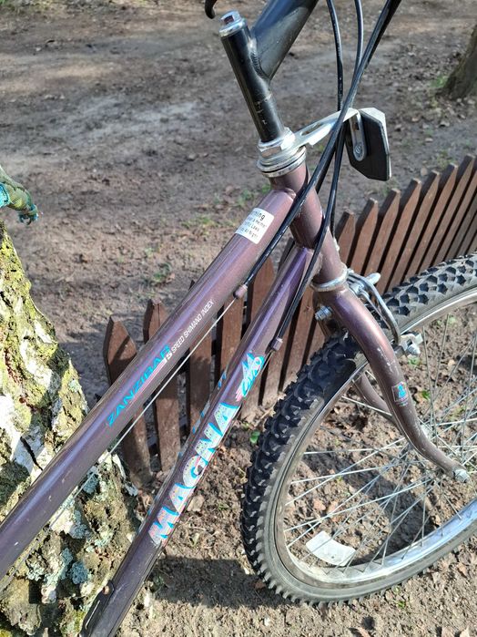 Rower Magna Zanzibar miejski