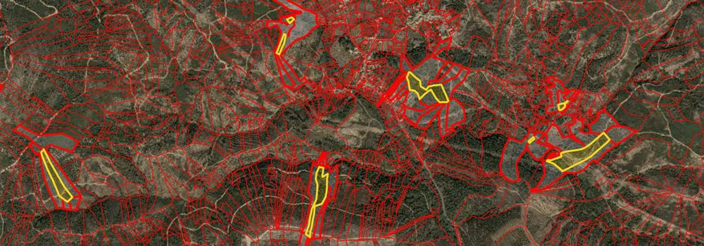 Terrenos rústicos, Castelo- Mação