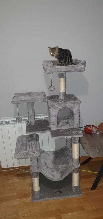 Drapak dla kota Wysoki duży drapak dla kota domek legowisko 143cm NOWY