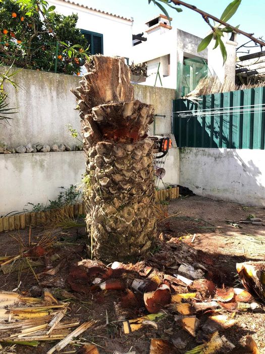 Limpeza de terrenos cortes e podas de árvores.