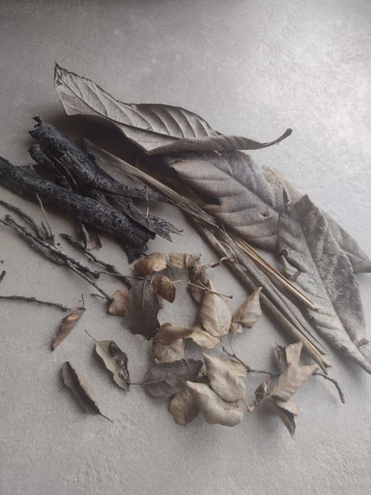 Botânicos e Troncos para Aquário (faço envios)