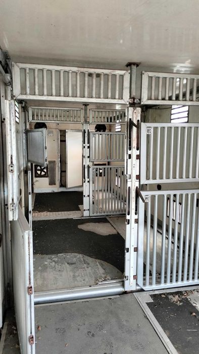 KONTENER dla trzody zwierząt żywca kurnik kury