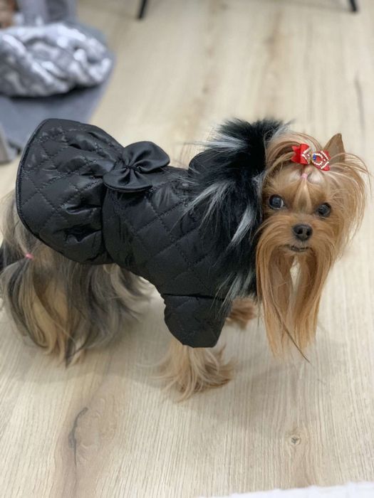 kurtka ubranko ocieplane zimowe dla psa,grzywacz ,york mops ,na miare
