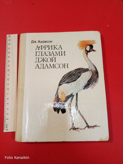 Д. Адамсон. Африка глазами Адамсон