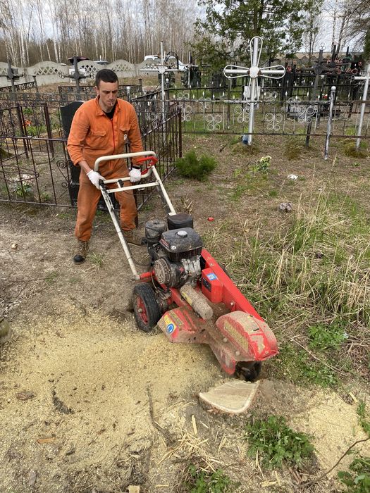 Видалення дерев, Спил частинами, Кронування, Обрізка, Утилізація