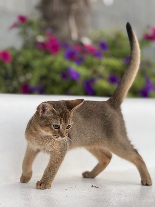 Найніжніший хлопчик чекає на улюблену родину