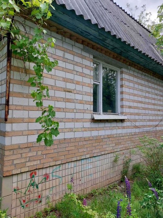 Цегляний 2 поверховий будинок, гараж с. Ясногородка Фастівський р-н