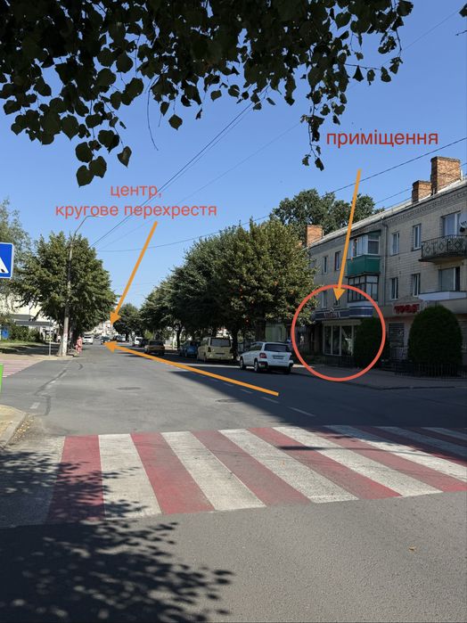 Здається в оренду приміщення Звягель центр міста