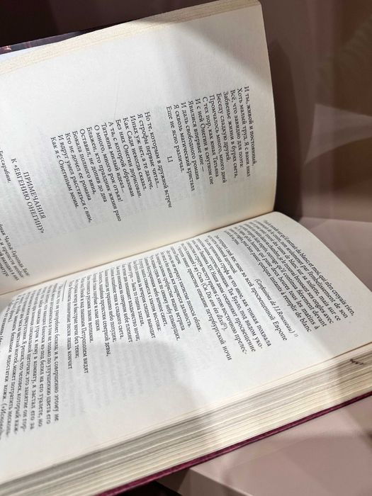 "Евгений Онегин" А. Пушкин