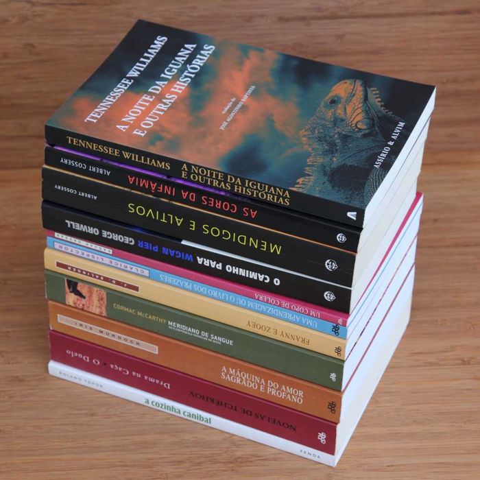 Lote de livros - Literatura internacional