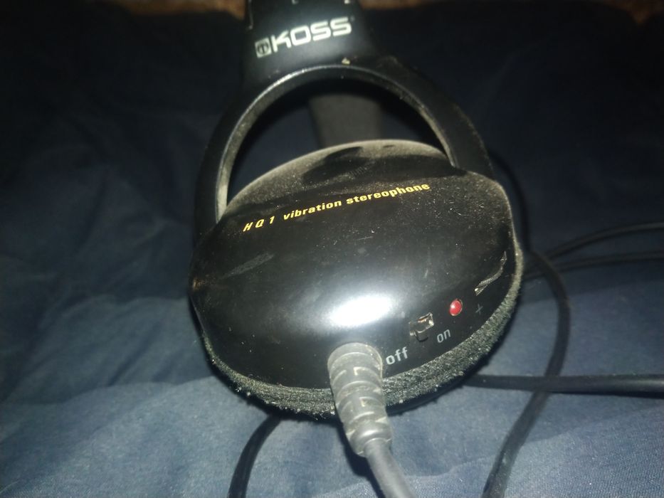Навушники Panasonic RP-HS900 Koss HQ1