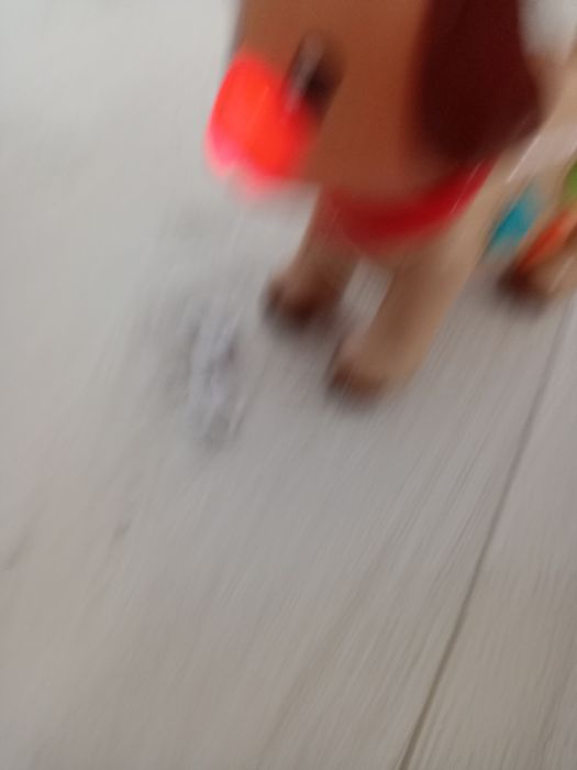 Interaktywny piesek dźwięk muzyka