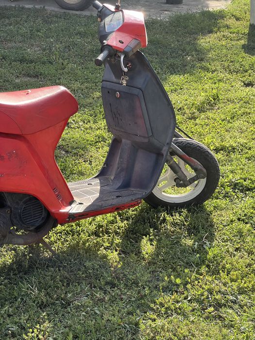 Honda tact af09