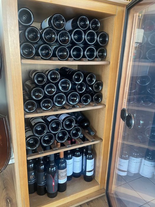 Vinoteca Caveduke Regent para 125 garrafas