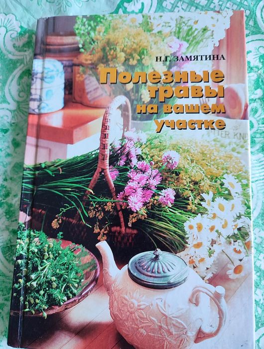 Полезные травы на вашем участке