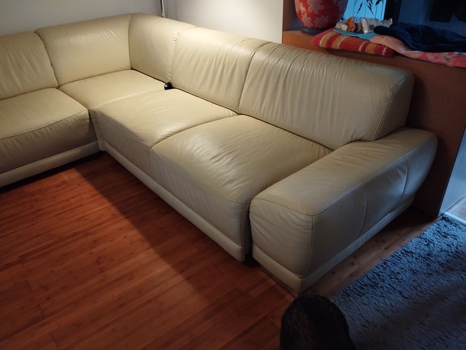 Duża rogówka że skory