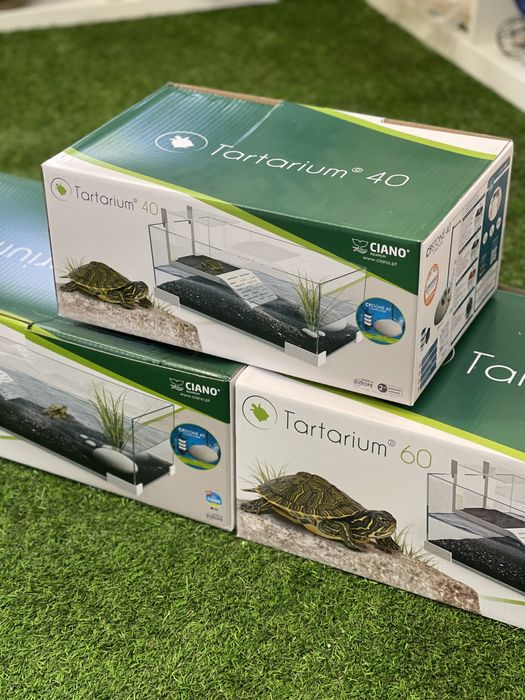 Tartarugueira Ciano 40 e 60