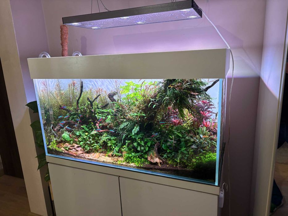 Zestaw Akwarystyczny Premium 182L 90x45x45 | VIV Oase Skylight CO2 komputer, chihiros pump Trzebinia k. Chrzanowa