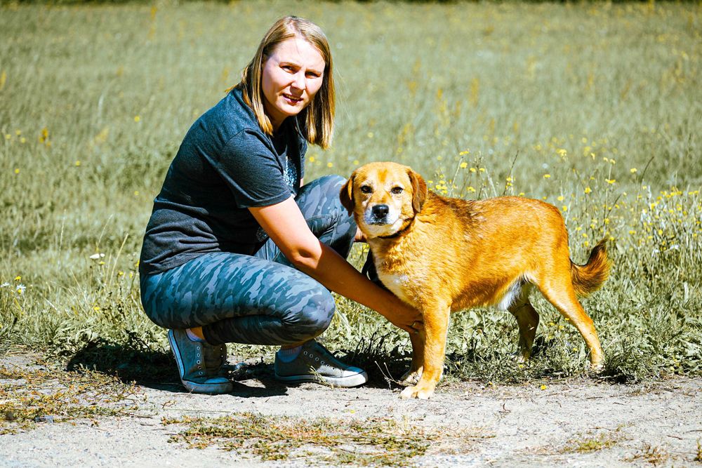 BUBUŚ - cudowny psiak prosi o dom