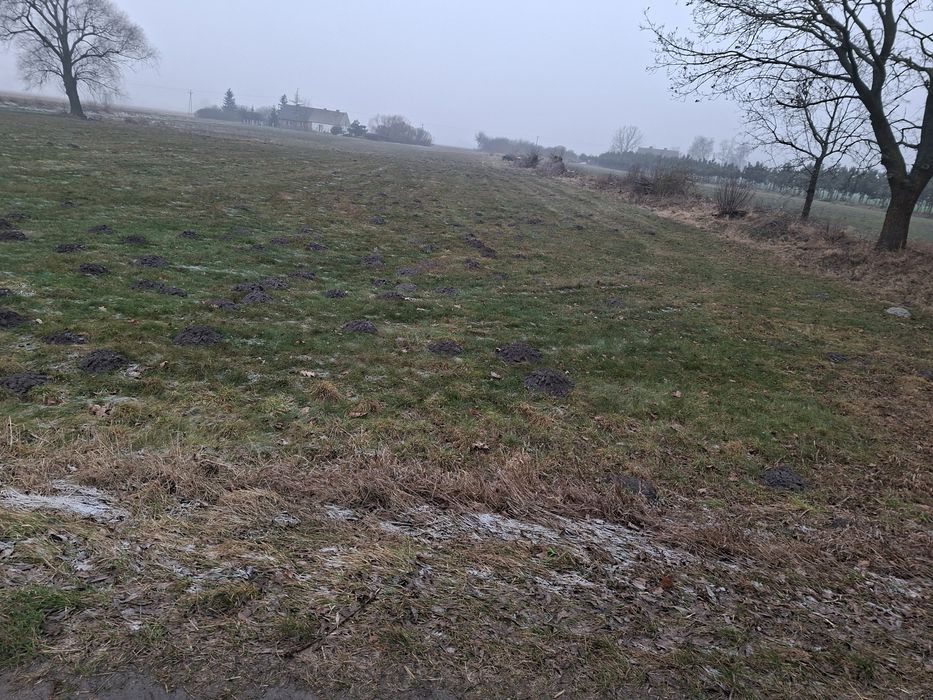 Działki budowlane Liszkowice ,gmina Rojewo