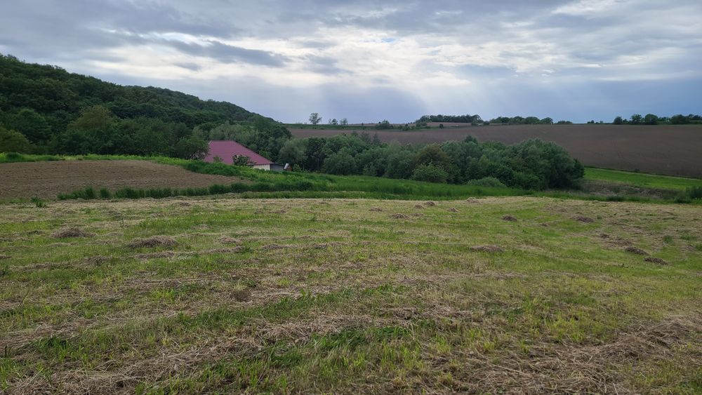 Продам земельну ділянку під лісом, біля озера