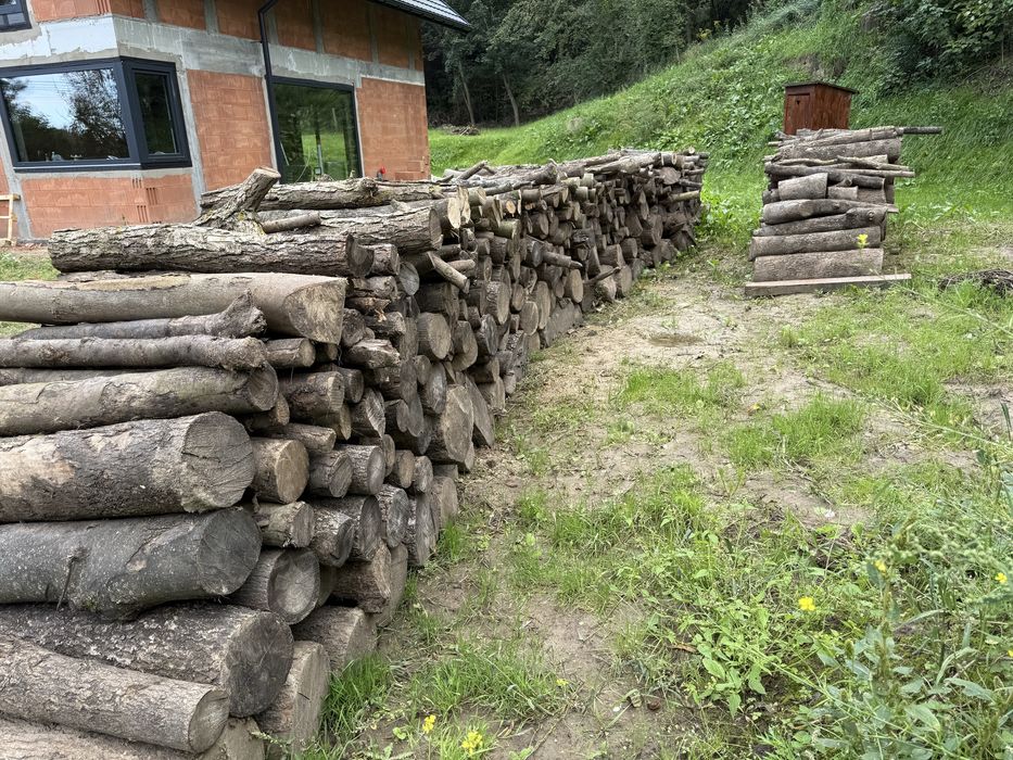 Sprzedam drzewo, drewno opałowe - jesion, klon