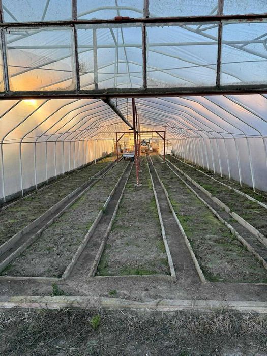 Tunele foliowe 30mx7,3mx3,3m