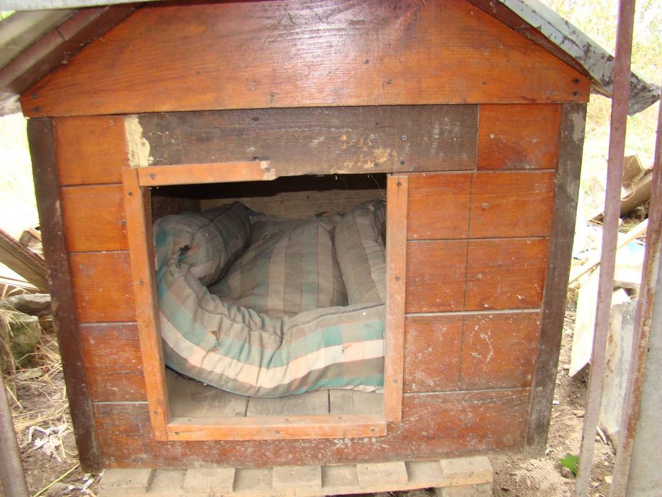 Buda dla psa używana