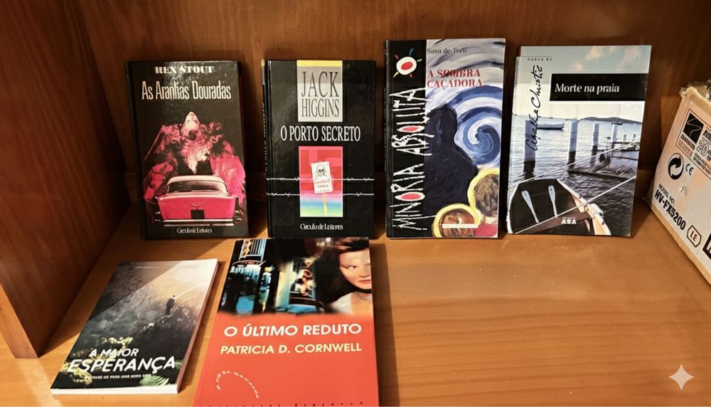 Book Lot (Agatha Christie, Luis Sepúlveda, Patricia Cornwell, etc.)