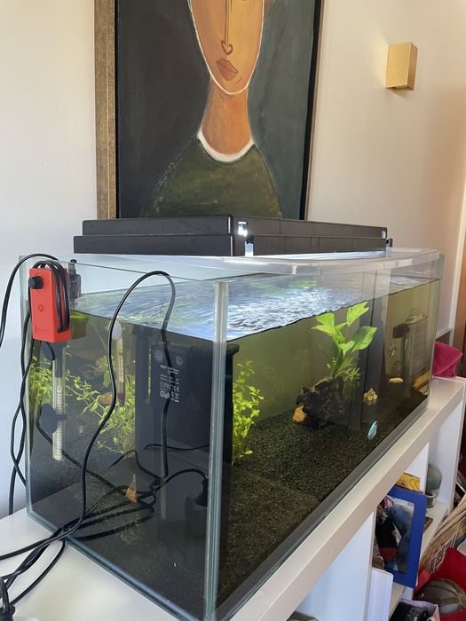 Aquário 115 litros