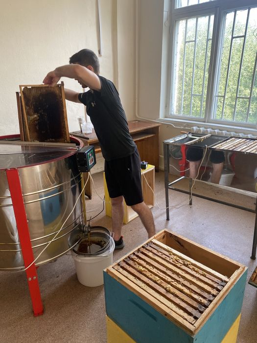 Дуже смачний мед різнотравʼя. Ірпінь безкоштовна доставка!