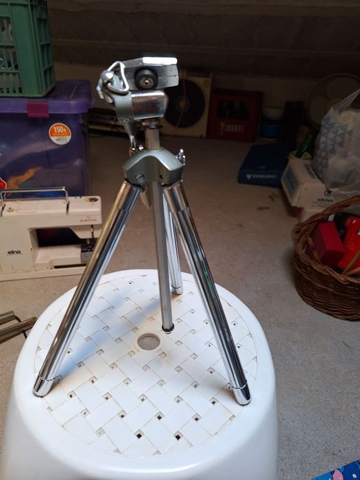 Viola Tripod - for Collectors64730002621187124