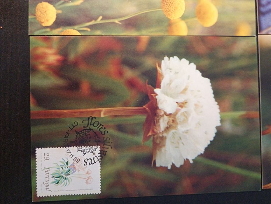 Serie completa de 4 Postais. Máximos. Novos	1989 - Flores Silvestres