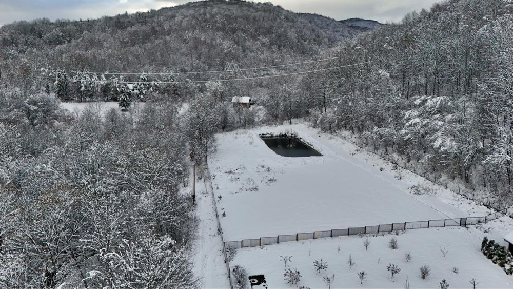 Продаж / Земля / ОСГ / Верхнє Синьовидне/ Львівська область