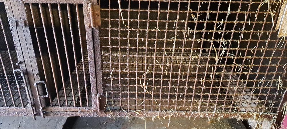 Клітки для нутрій і кролів