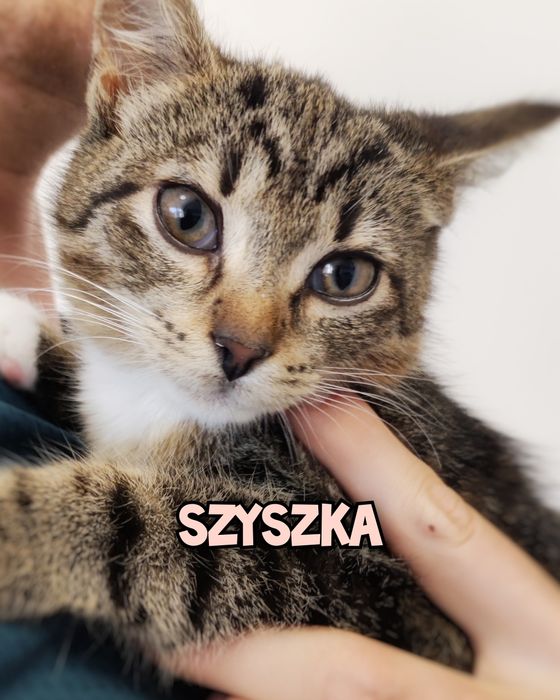 Maleństwo szuka miłości :)