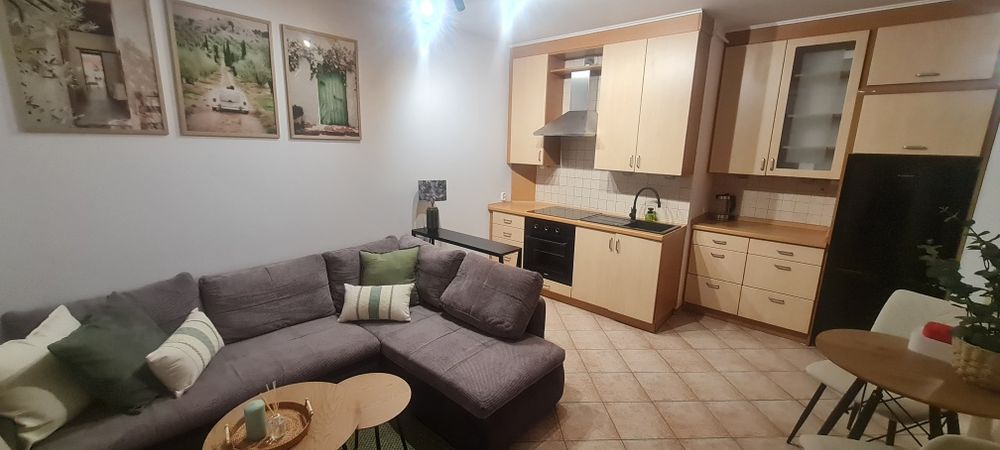 Mieszkanie do wynajęcia 41,5 m