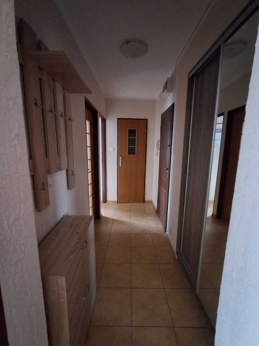 Zdjęcie 7