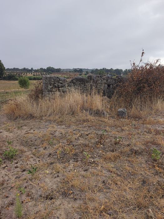 Vendo terreno de 2,5 hectares com regadio