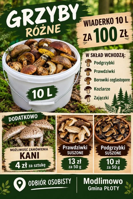 Grzybki świeże i suszone
