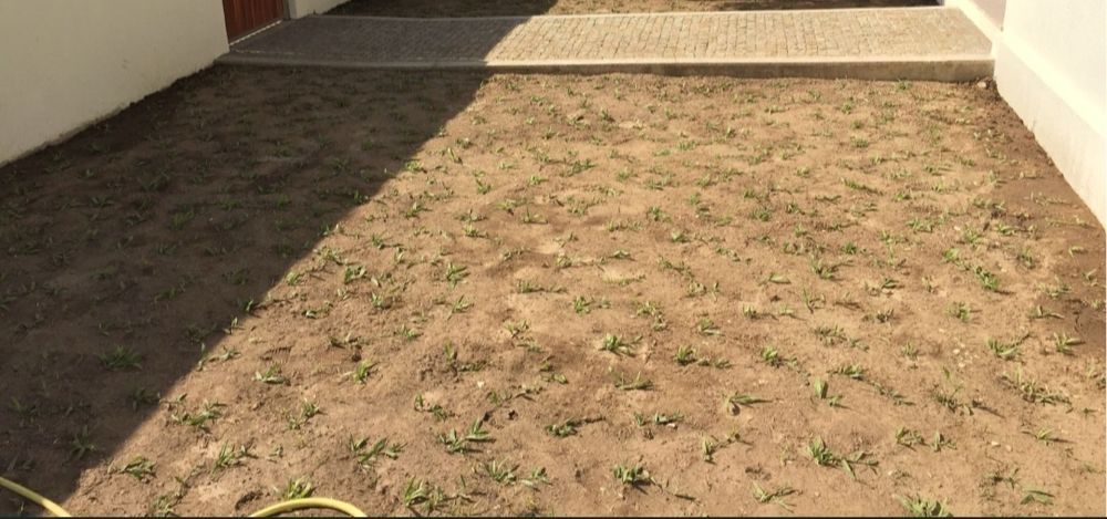 Limpeza e jardins